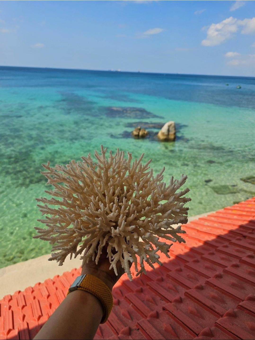 Mui Dinh Hotel Phan Rang Εξωτερικό φωτογραφία